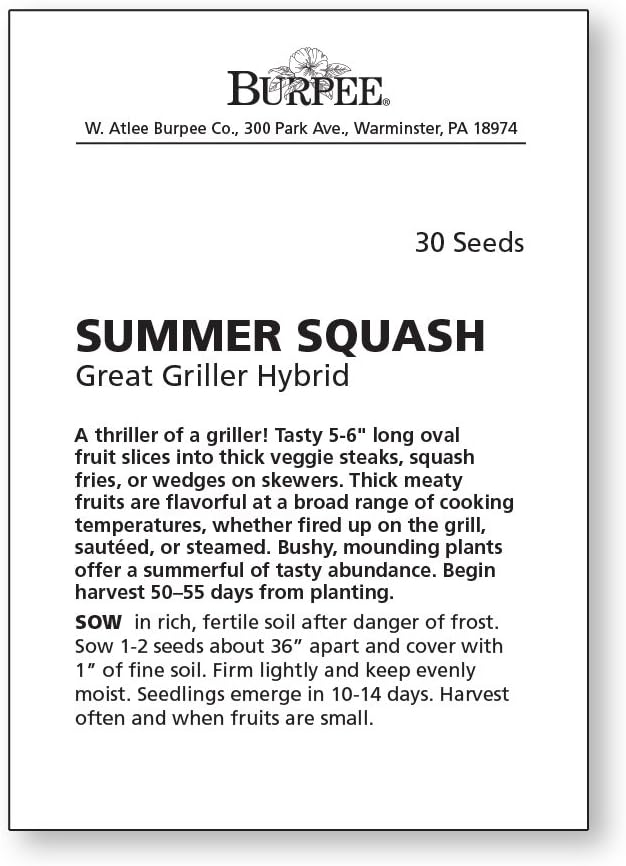 Burpee Great Griller Hybrid Summer Squash Seeds 30 seeds