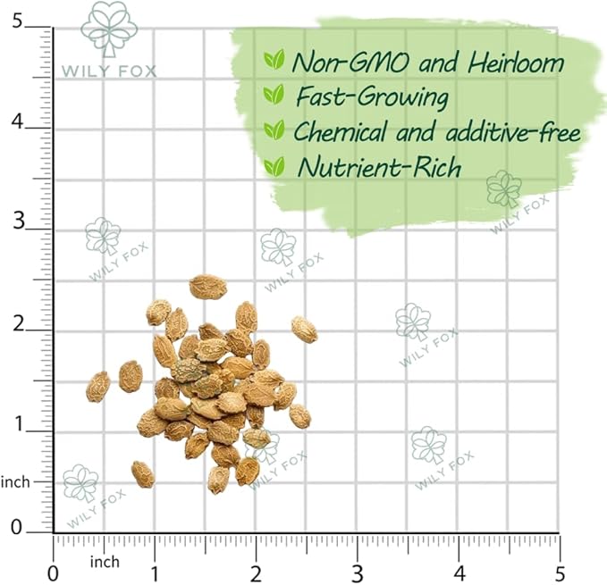 Premium Bitter Gourd Seeds for Planting – 25 Non-GMO Heirloom Seeds - High-Yielding, Extra Long, Authentic Flavor