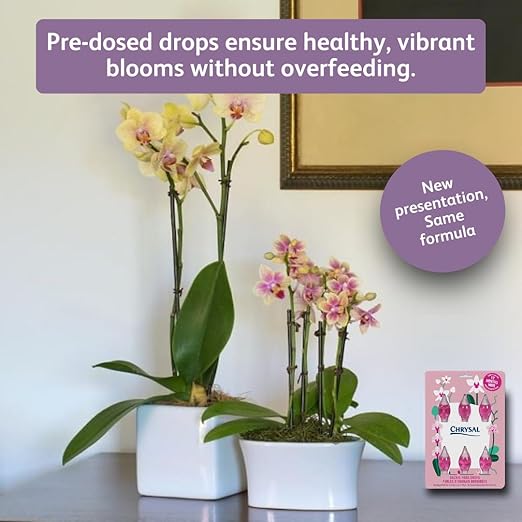 Chrysal Orchid Food Drops — Orchid Care — One Pack for a Year Supply — Concentrated Flower Food for All Species of Orchids — Ideal Florist Supplies — Outdoor and Indoor Plant Food (2 Pack)