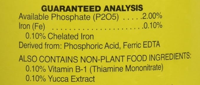 1 0-2-0 Vitamin B1 Start, 1 quart