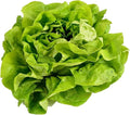 Vegetable Garden Seeds for Planting - Grow Heirloom Vegetables (Butter Crunch Lettuce)