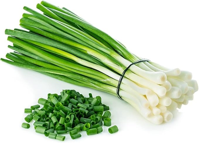 Todd's Seeds Evergreen Bunching Nebuka Onion Heirloom Seed