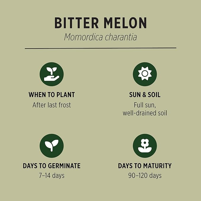 Banyan Botanicals Organic Bitter Melon Seeds (Momordica Charantia) – Easy-to-Plant Culinary Gourd with a Complex Bitter Flavor – 10 Count – Open Pollinated Non-GMO