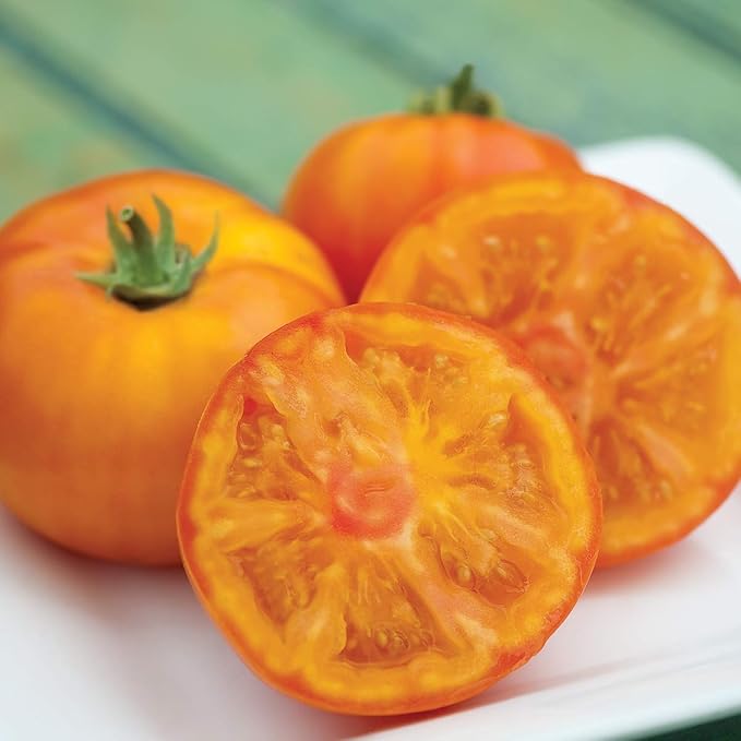 Burpee Tye-Dye Hybrid Tomato Seeds 15 seeds