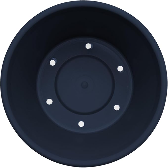 Bloem Terra 4" Diameter Round Navy Resin Planter Pot with Pre-Drilled Drainage Holes for Indoor and Outdoor Gardening