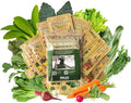 Seed Assortment - 14 Variety Fall & Winter Vegetable Collection, Non-GMO, Heirloom Seeds, Cold-Hardy Crops, Ideal for Fall & Winter Planting, Perfect for Home Gardeners, Full Sun, Easy to Grow.
