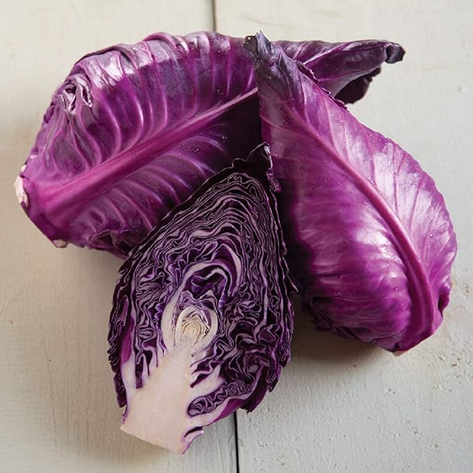 Seeds Red Kalibos Cabbage Giant Non GMO Vegetable for Planting