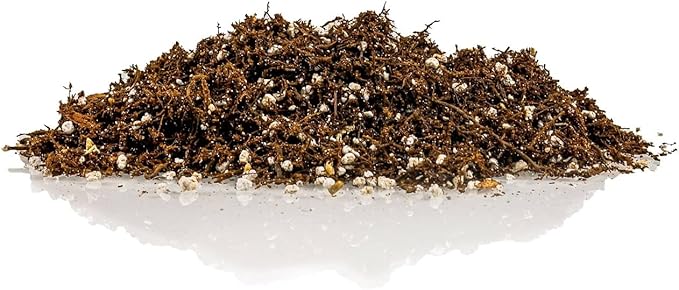 Gardenera Fern + Perlite Soil Mix for Repotting and Planting Succulents and Cactuses - 2 Quart Bag