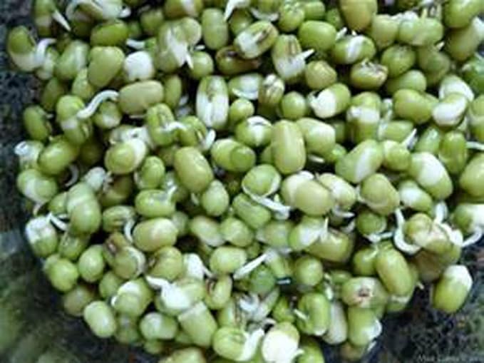 Peyton's Protein Mix Seeds for Sprouting Microgreens,4 Ounces,"COOL BEANS n SPROUTS" Brand, A superfood Packed with antioxidants. A Small Town Family Run USA Business.Thank You !