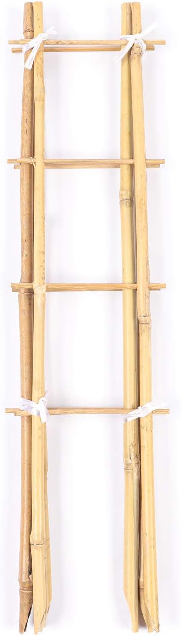 24 Inch Trellis for Potted Plants, 3 Pack Bamboo Trellis Indoor, Natural Garden Trellis for Climbing Plant Monstera Hoya Vegetables and Fruits