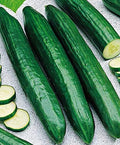 Seeds4planting - Seeds Rare Cucumber Emelya Giant Long Pickling Heirloom Vegetable Non GMO