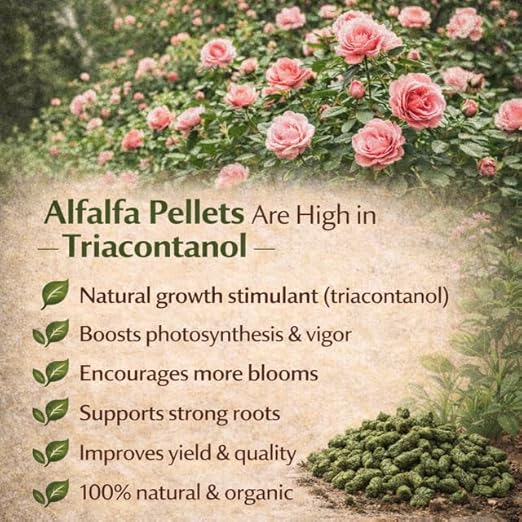 Alfalfa Meal Pellets, AlfaThrive Plant Multivitamin and Fertilizer, and Animal Feed. 4.0 lbs, 2.5-0.5-2.5 NPK