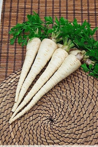 SeedsUP - 2000+ Seeds Root and Leaf Parsley Hercules Hamburg - 2000 Seeds - Herb Gray