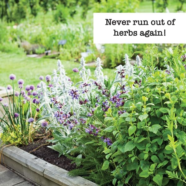 Ferry-Morse Herb Enthusiast Organic Seed Bundle - 10 Pack