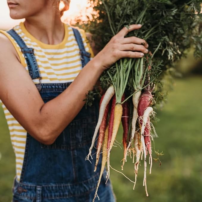 1500+ Rainbow Carrot Seeds for Fall Planting,Organic Heirloom Carrots Seeds Easy to Grow-Root Vegetable Seed for Fresh Eating & Juicing,in Gardens & Containers