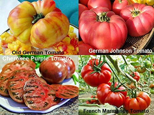 Mixed Seeds 30 Giant Tomato Seeds, Mix of 19 Varieties, Heirloom Non-GMO, Brandywine Black, Red, Yellow and Pink, Mr. Stripey, Old German, Black Krim, from USA Solanum lycoperscium