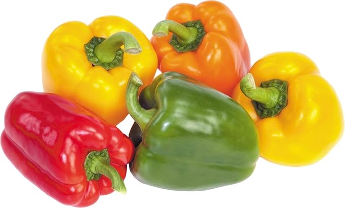 CEMEHA SEEDS - Seeds Sweet Bell Pepper Rainbow Mix Non GMO Vegetable for Planting