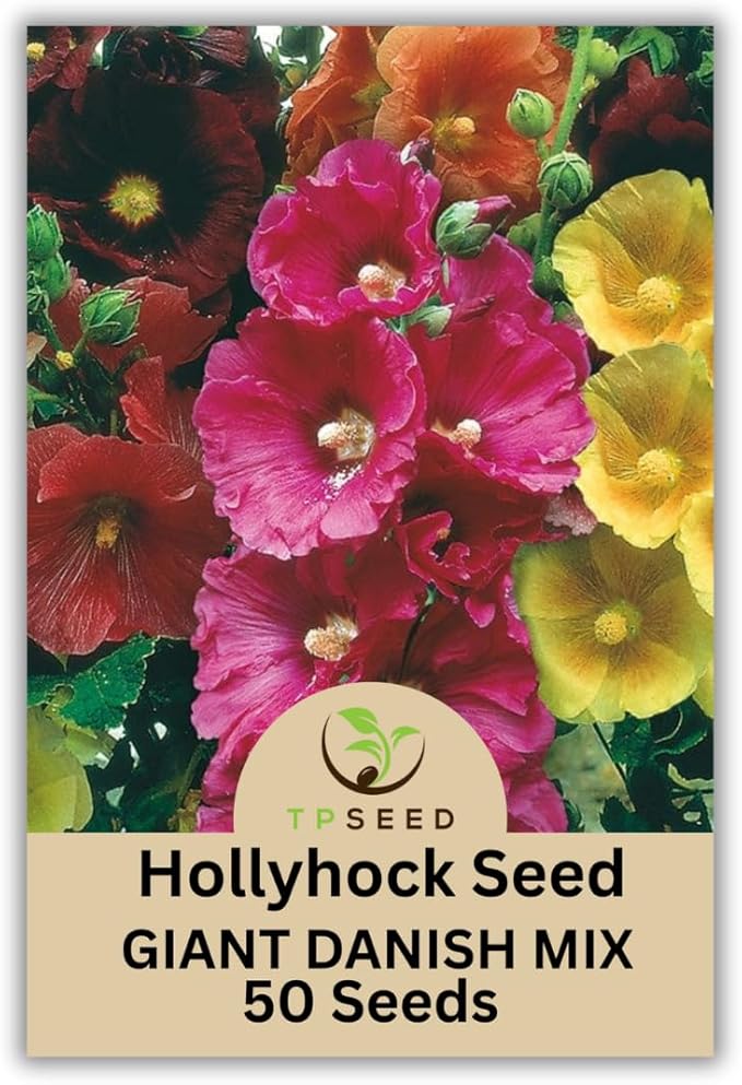 Hollyhock Giant Danish Mix Seeds, 50 Count, Multi-Color Biennial Flowers, TP SEED
