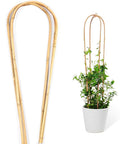 Natural Bamboo Trellis for Climbing Plants Indoor Outdoor, 3 Feet Garden Arch Trellis for Potted Plants, 3 Pack Large Plant Trellises