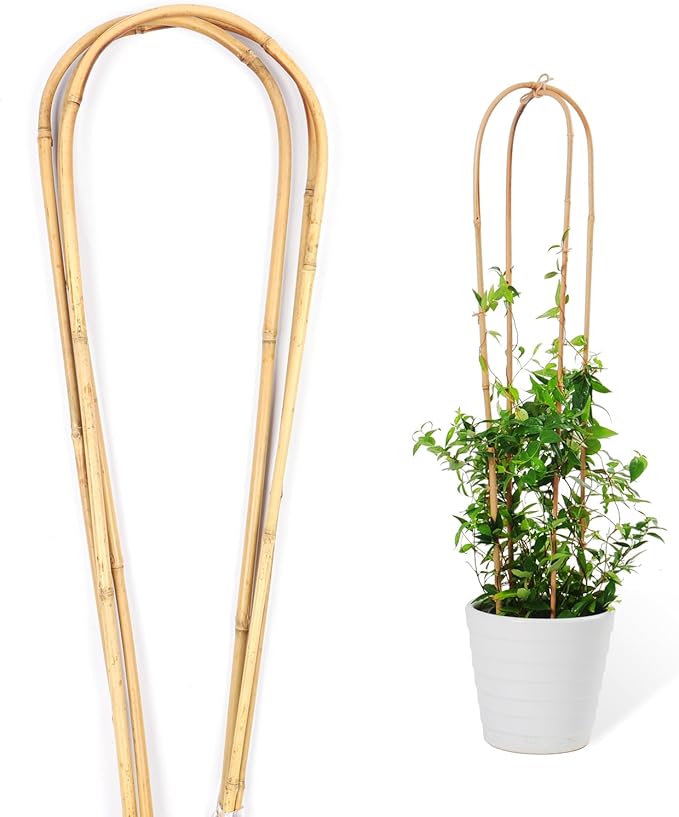 Natural Bamboo Plant Trellis U-Hoop 4 Feet Arch Bamboo Garden Trellis Support for Climbing Plants Outdoor Vines Ivy Plants Climbing Flowers Plant Tower - Pack of 3 Hoops