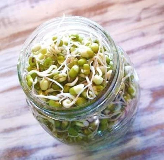 2 oz Megan's Sprouting Mix- Perfect Blend of Mung Bean, Alfalfa, Broccoli and Radish Sprouting Seeds, Non-GMO, Country Creek LLC