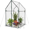 Gardzen Mini Greenhouse Heavy Duty Portable Green House, Clear Tent Small Greenhouse for Indoor Outdoor Plants 36.2”(L) x36.2”(W) x59.5”(H)