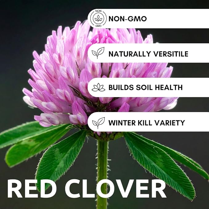 Red Clover Seed - 5 Pounds - Perennial Forage Clover for Food Plots, Cover Crops, Pasture Mixes, Soil Improvement, Erosion Control, and Pollinator-Friendly Planting