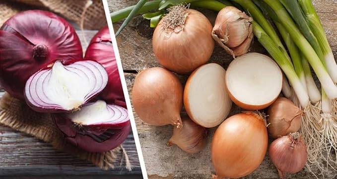 500+ Seeds Onion - Vegetable Mix