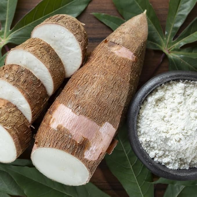 4 Sweet Yuca Cassava Cuttings, Manihot Yuca Cassava Cuttings, Cassava Root for Planting, 6 to 8 Inches Cassava for Planting, Cassava Root Plant