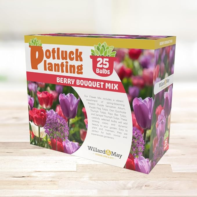 All-in-One Flower Garden Kit - 25 Flower Bulbs Per Box - Potluck Planting Berry Bouquet Mix - Allium and Tulip Mix - Fragrant - Naturalizing - Live Outdoor Garden - Easy to Plant Flowers