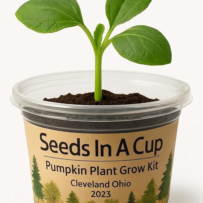 Seeds In A Cup® Custom Garden in A Box – 10-Pack Grow Kit with 50+ Vegetable & Herb Seed Options, Complete Indoor/Outdoor All-in-One Gardening Starter for Beginners, Families & Food Love