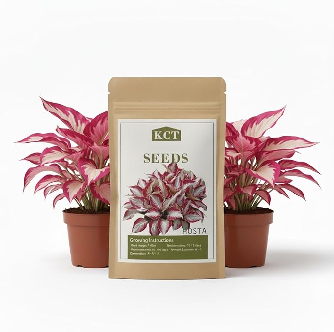 100+ Hosta Seeds for Planting Outdoors, Rare Perennial Flower Seeds, Shade Loving Hosta Plants for Garden Beds, Containers, Patios (White and Red)