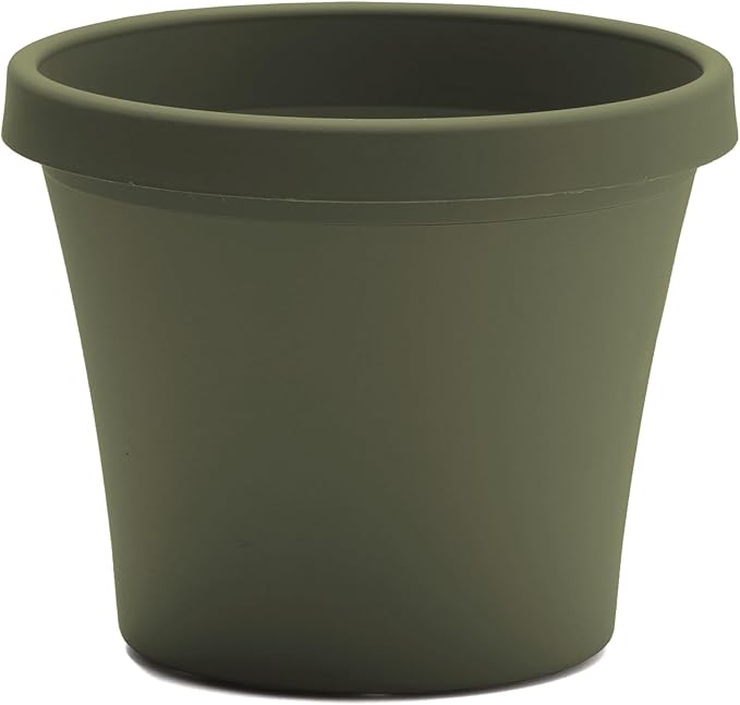 Bloem Terra 6" Diameter Round Living Green Resin Planter Pot with Drainage Holes for Indoor and Outdoor Gardening