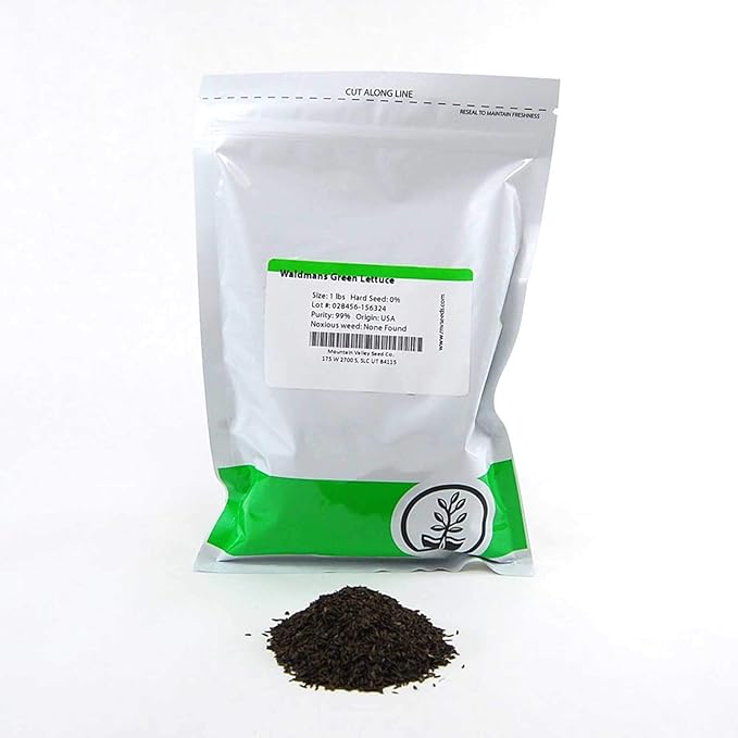 Green Lettuce Seeds: 1 Lb - Non-GMO Vegetable Garden & Microgreens Seeds - Micro/Baby Salad Greens