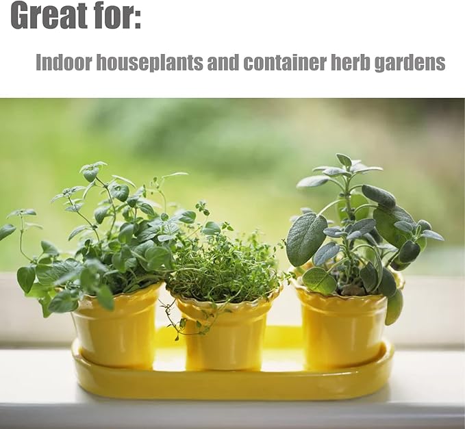 Organic Potting Soil Mix 10qt for All Indoor & Outdoor Small Containers Including Herbs, Vegetables, and Flowers