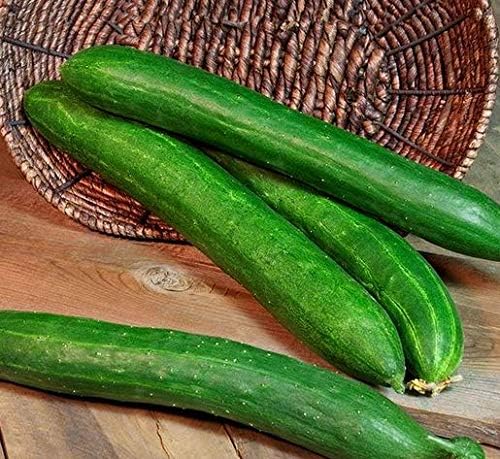 Cucumber Long Self-pollinated Zozula F1 Seeds Pickling Early Indoor Vegetable for Planting Giant Non GMO 10 Seeds