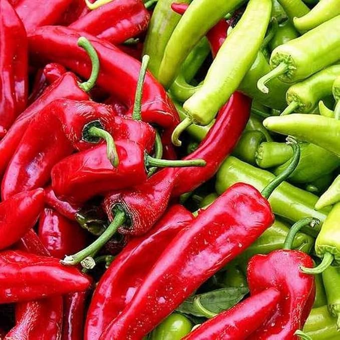 30+ Seeds Jalapeno Chili Pepper - Vegetable Green