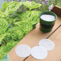 Park Seed Easy DIY Planting Sow Effortless Collection Seed Discs, Organic Sweet Basil, (Set of 3)