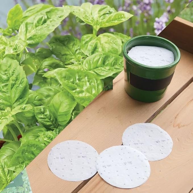 Park Seed Easy DIY Planting Sow Effortless Collection Seed Discs, Organic Sweet Basil, (Set of 3)