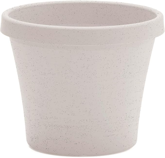 Bloem Terra 6" Diameter Round Vanilla Bean Resin Planter Pot with Drainage Holes for Indoor and Outdoor Gardening