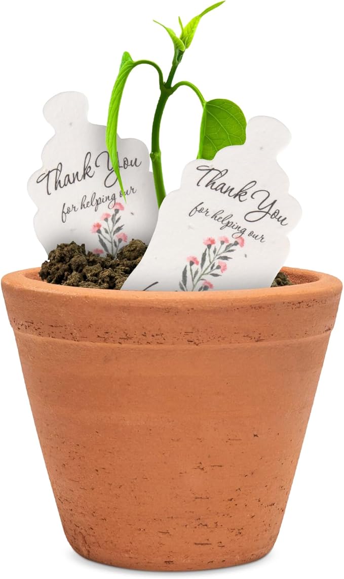 Seed Bloom Bottle Shaped Seed Paper – 15Pcs Pink Shower Favors for Guests with Wildflower Seeds, Writable & Plantable, Shower Favor Gifts for Guest