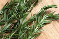 Rosemary, Herb Seed, Heirloom, 100+ Seeds, Healthy and Tasty Herb