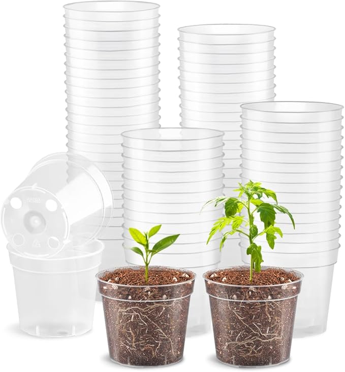 RooTrimmer 2.5" Clear Seeding Pots 100-Pack Round for Seeds Starter Pots, Seeds Germination Transparent Nursery Pot with Drainage Holes (2.5Inch,100Pcs,Clear)