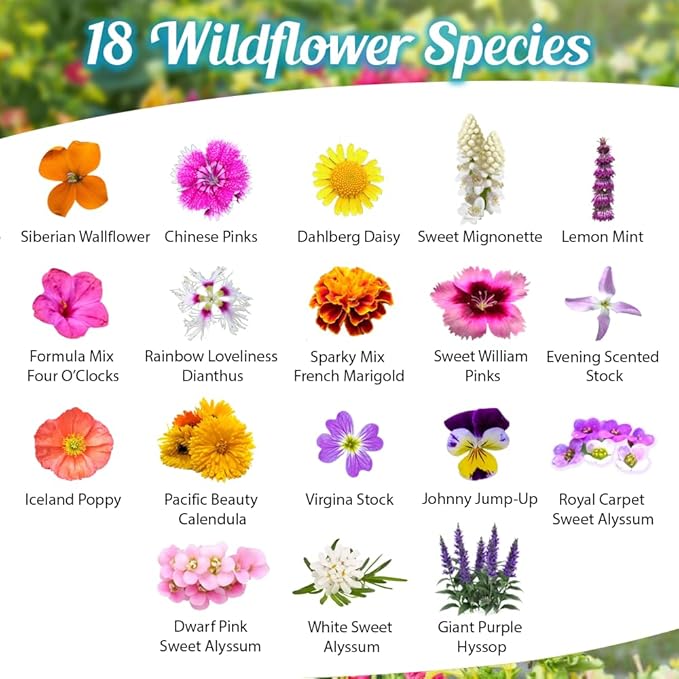 Fragrant Wildflower Seeds Mix - 1oz, Aromatic Annual and Perennial Wildflower Seeds – Create The Perfect Garden.