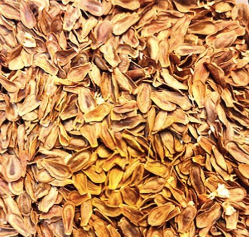Pink Swamp Milkweed Seeds to Help Save The Monarch Butterflies - Incarnata Milkweed