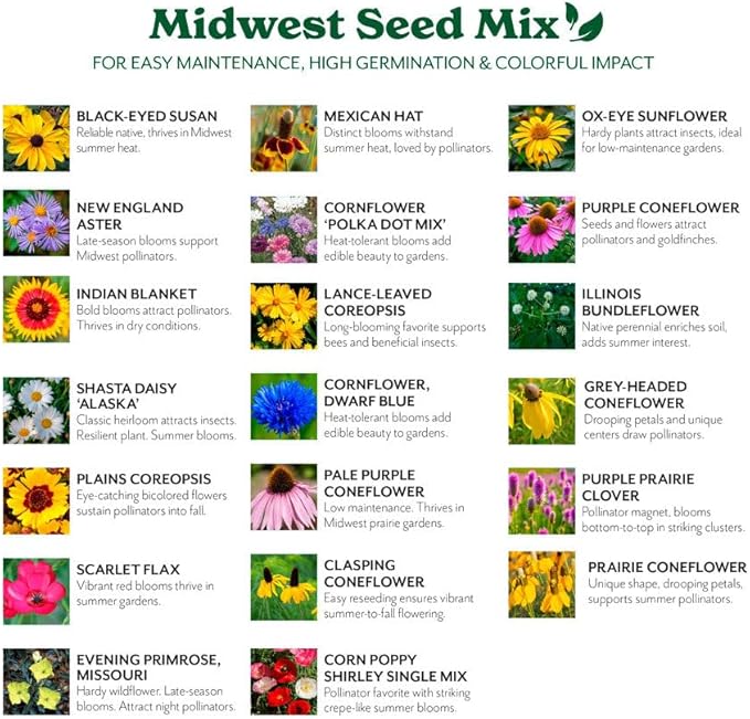 Grow Your Own Vibrant Annual and Perennial Wildflower Garden Seeds Mixture, Varieties for Pollinators and Spring Gardens - Midwest Regional Mix, 10 lbs
