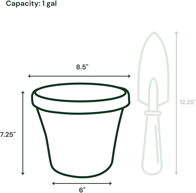 Bloem Terra 8" Diameter Round Basil Resin Planter Pot with Drainage Holes for Indoor and Outdoor Gardening