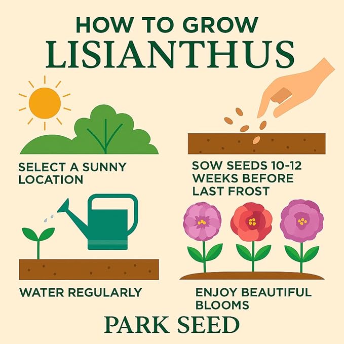 Park Seed Lisianthus Flowering Planting Seeds, Easy to Grow, Variety of Colors and Sizes, Spring Garden, Minilisi Mix, Pack of 25