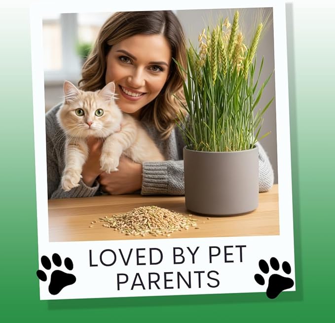 Cat Grass Seeds for Growing | 4 Way Blend, Rye, Wheat, Oats and Barley | Made in USA | Safe Non-GMO Pet Grass for Cats & Pets | Fast Sprouting (2 Pounds)