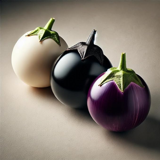30+ Seeds Eggplant Round Mix - Vegetable Multicolor